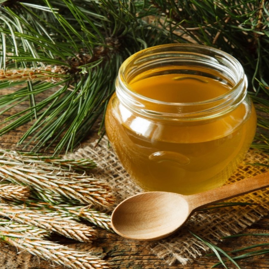 Sirup od borovih iglica